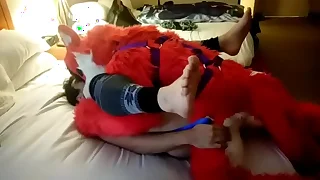 162 furry porn videos